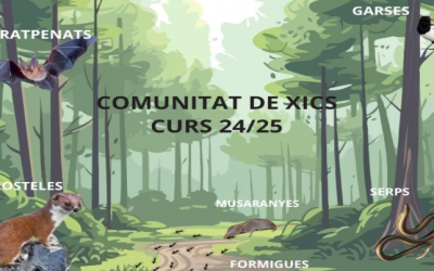 Febrer 2025-Xics-Tria del nom de l’aula