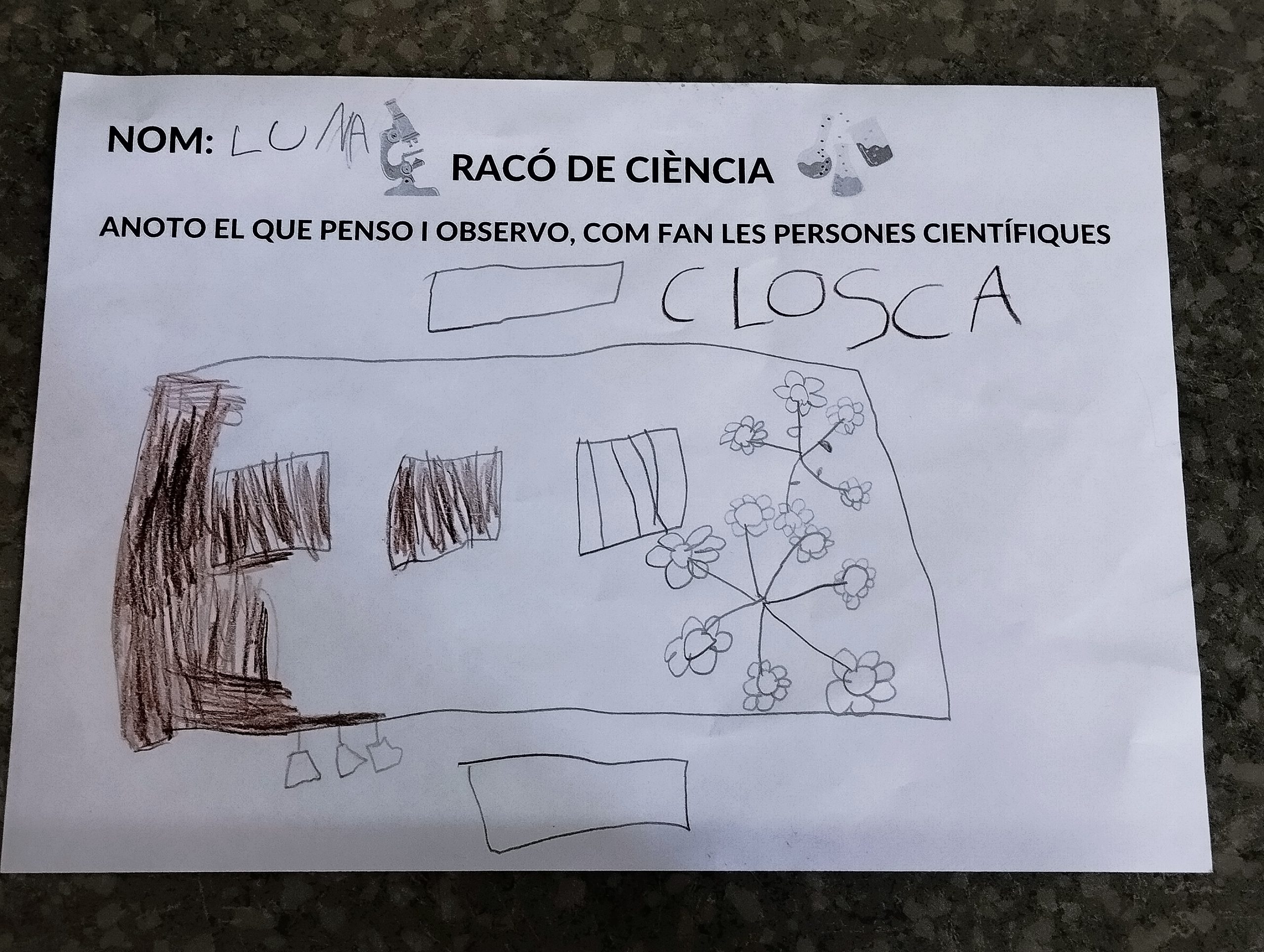 FOTO 13