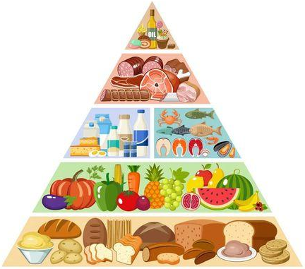 alimentacií