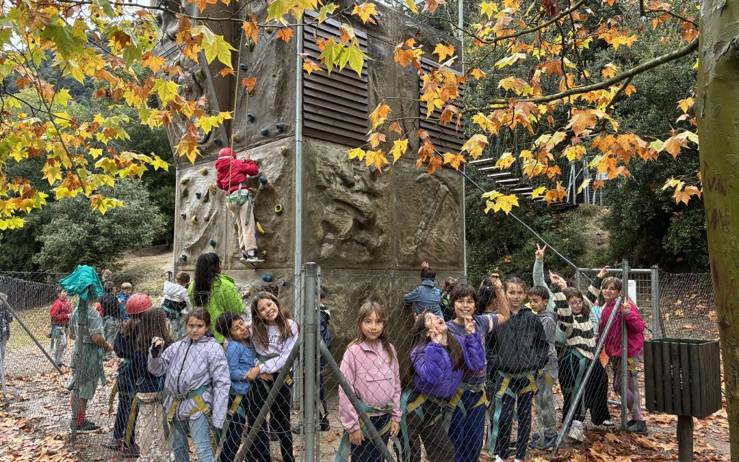 Unes colònies màgiques!